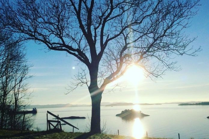 Boknafjorden fra Talgje