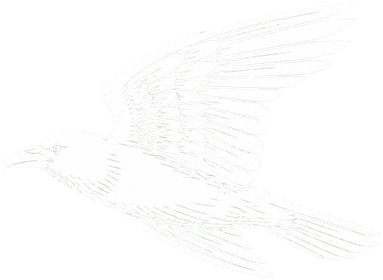 Muninn