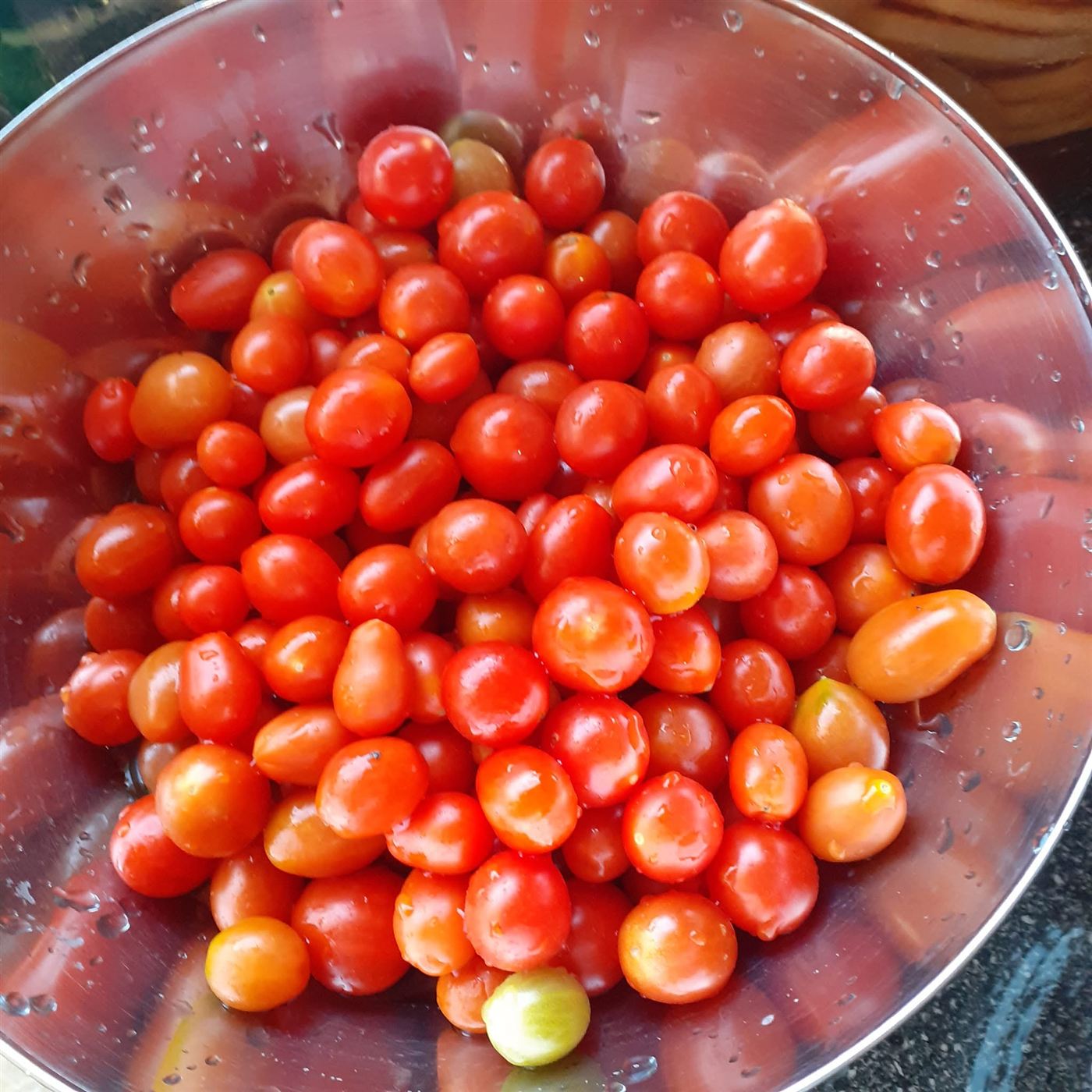 Solanum lycopersicum