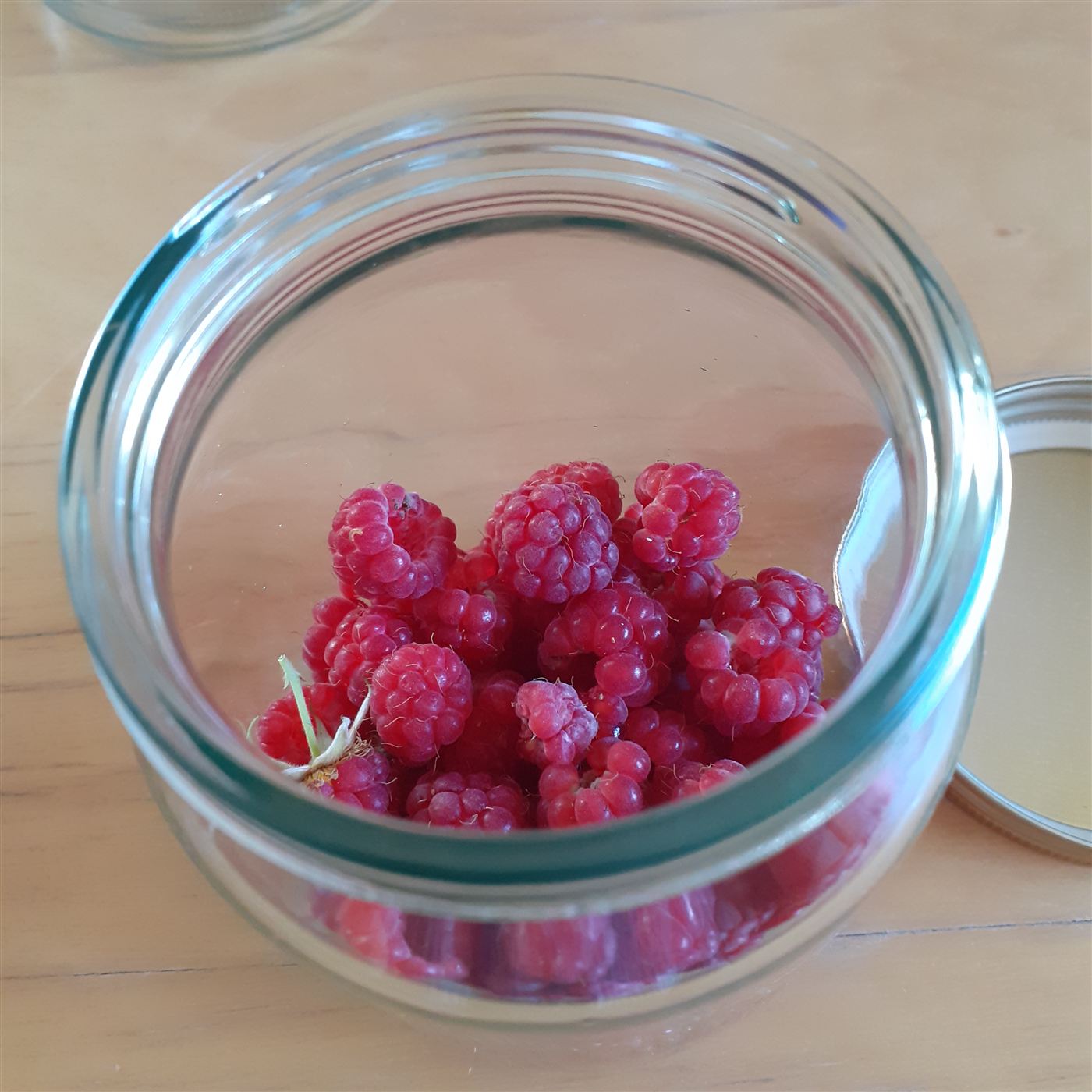 Rubus idaeus